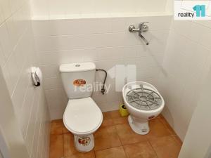 Prodej obchodního prostoru, Přeštice, Husova, 47 m2