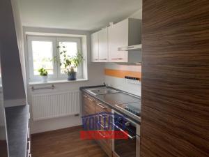 Pronájem bytu 2+kk, České Budějovice, Puklicova, 60 m2