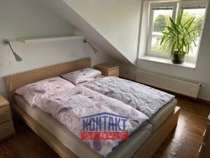 Pronájem bytu 2+kk, České Budějovice, Puklicova, 60 m2
