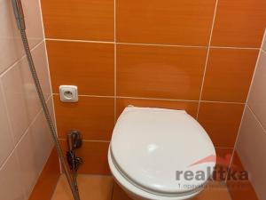 Pronájem bytu 3+1, Opava - Kateřinky, Antonína Sovy, 73 m2