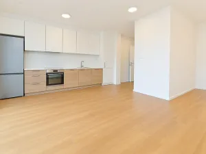 Pronájem bytu 1+kk, Brno - Černovice, Mírová, 33 m2