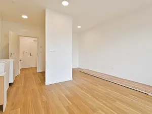 Pronájem bytu 1+kk, Brno - Černovice, Mírová, 33 m2