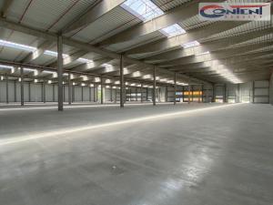 Pronájem skladu, Paskov, U Terminálu, 6000 m2