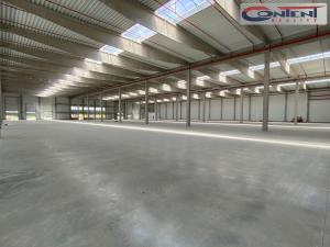 Pronájem skladu, Paskov, U Terminálu, 6000 m2