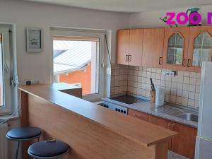 Prodej činžovního domu, Strážný, 462 m2