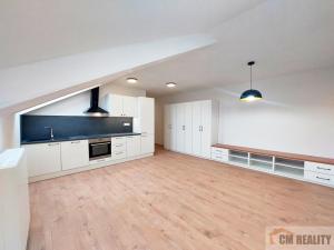 Pronájem bytu 1+kk, Olomouc - Hodolany, Holická, 38 m2