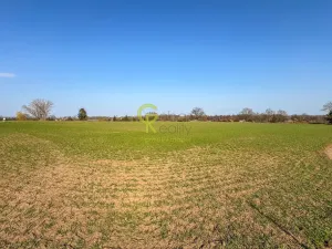 Prodej komerčního pozemku, Předměřice nad Labem, Obránců míru, 11770 m2