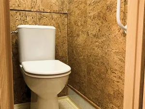 Prodej bytu 3+1, Semily, Luční, 65 m2