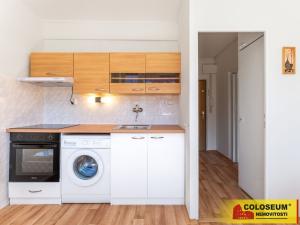 Prodej bytu 1+1, Vyškov - Dědice, 33 m2