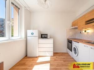 Prodej bytu 1+1, Vyškov - Dědice, 33 m2