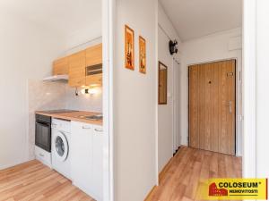 Prodej bytu 1+1, Vyškov - Dědice, 33 m2