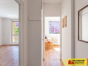 Prodej bytu 1+1, Vyškov - Dědice, 33 m2