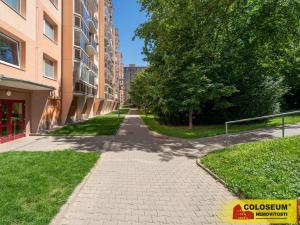 Prodej bytu 1+1, Vyškov - Dědice, 33 m2