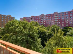 Prodej bytu 1+1, Vyškov - Dědice, 33 m2