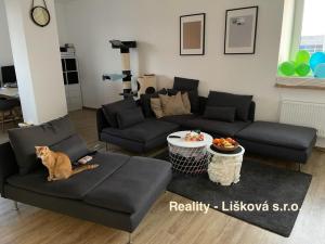 Pronájem bytu 2+kk, Ústí nad Labem - Ústí nad Labem-centrum, Velká Hradební, 74 m2