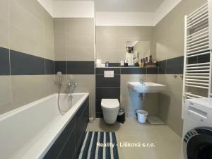 Pronájem bytu 2+kk, Ústí nad Labem - Ústí nad Labem-centrum, Velká Hradební, 74 m2