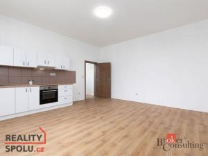 Prodej bytu 2+kk, Ostrava - Vítkovice, Erbenova, 52 m2