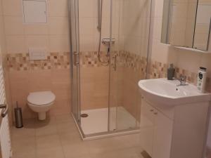 Pronájem bytu 2+kk, Rakovník - Rakovník II, Maru Špačkové, 50 m2