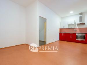 Pronájem bytu 3+1, Teplice, U Hadích lázní, 115 m2