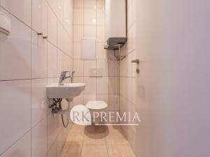 Pronájem bytu 3+1, Teplice, U Hadích lázní, 115 m2