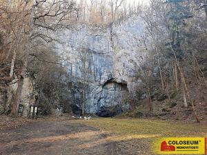 Pronájem bytu 1+kk, Adamov, 20 m2