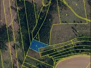 Prodej lesa, Pacov, 2251 m2