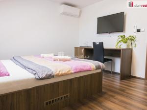 Prodej ubytování, Lednice, Břeclavská, 300 m2