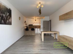Pronájem bytu 2+kk, Olomouc, Aloise Rašína, 68 m2