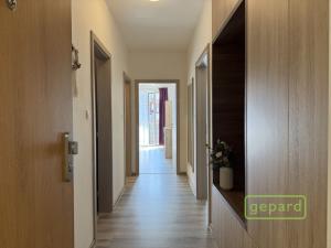 Pronájem bytu 2+kk, Olomouc, Aloise Rašína, 68 m2
