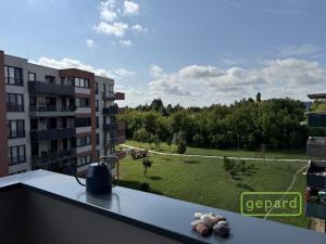 Pronájem bytu 2+kk, Olomouc, Aloise Rašína, 68 m2