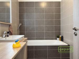 Pronájem bytu 2+kk, Olomouc, Aloise Rašína, 68 m2