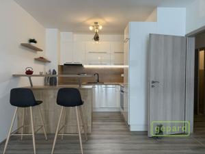 Pronájem bytu 2+kk, Olomouc, Aloise Rašína, 68 m2