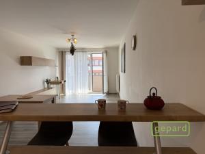 Pronájem bytu 2+kk, Olomouc, Aloise Rašína, 68 m2