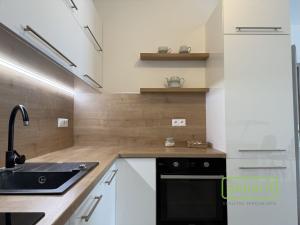 Pronájem bytu 2+kk, Olomouc, Aloise Rašína, 68 m2