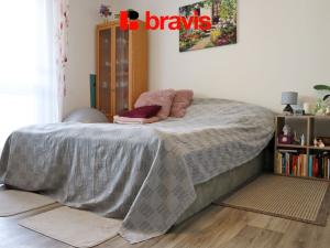Pronájem bytu 1+kk, Brno, Moldavská, 34 m2