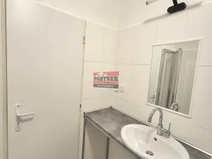 Pronájem bytu 2+kk, Planá nad Lužnicí, Průmyslová, 56 m2