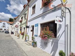 Pronájem obchodního prostoru, Mikulov, Svobody, 20 m2