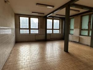 Pronájem výrobních prostor, Třebíč, V. Nezvala, 102 m2