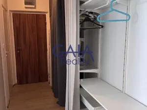 Pronájem bytu 2+1, Hodonín, Cihlářská čtvrť, 58 m2