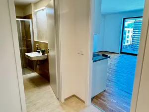 Pronájem bytu 1+kk, Praha, Mezi vodami, 41 m2