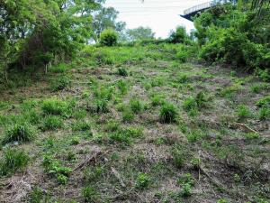 Prodej pozemku, Coxen Hole, Roatán, Honduras, 716 m2