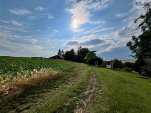 Prodej zahrady, Líšťany, 707 m2