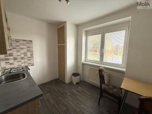 Prodej bytu 1+1, Litvínov - Chudeřín, Horská, 29 m2