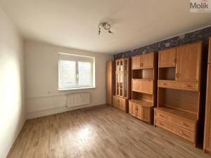 Prodej bytu 1+1, Litvínov - Chudeřín, Horská, 29 m2