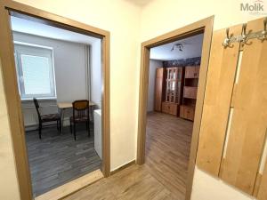 Prodej bytu 1+1, Litvínov - Chudeřín, Horská, 29 m2