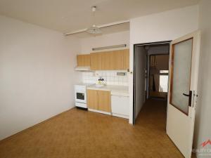 Prodej bytu 1+kk, Děčín - Děčín IV-Podmokly, Teplická, 19 m2