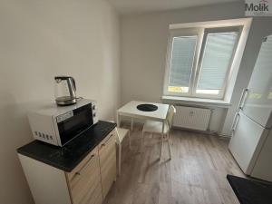 Pronájem bytu 1+1, Most, Lesní, 30 m2