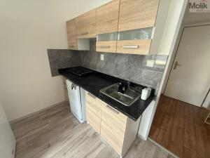 Pronájem bytu 1+1, Most, Lesní, 30 m2