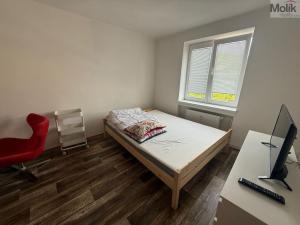 Pronájem bytu 1+1, Most, Lesní, 30 m2