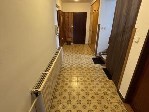 Pronájem bytu 1+1, České Budějovice, Jižní, 45 m2